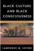 Black Culture And Black Consciousness: Afro-American Folk Thought From Slavery To Freedom