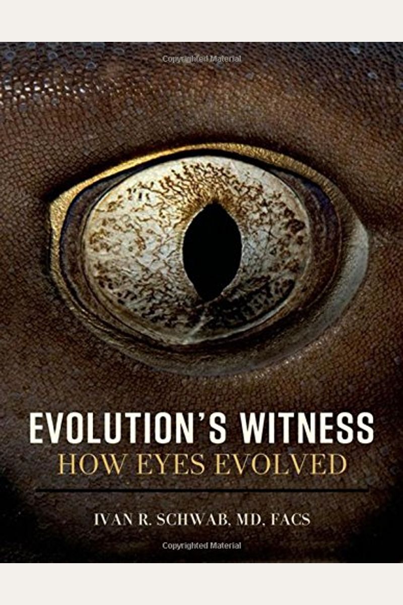 Buy Evolutions Witness How Eyes Evolved Book By Ivan R Schwab 3707