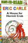 A House For Hermit Crab
