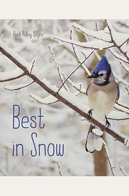 Best in Snow Best in Snow