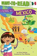 Living In . . . Mexico