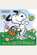 Meet The Easter Beagle!