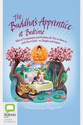 The Buddha's Apprentice At Bedtime