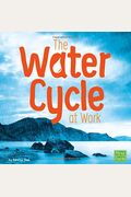 The Water Cycle At Work