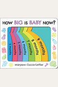 How Big Is Baby Now?
