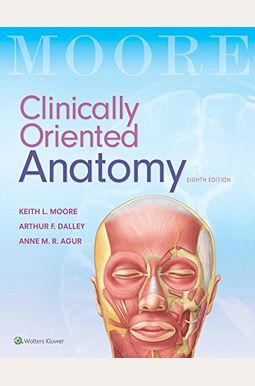 Clinically Oriented Anatomy Clinically Oriented Anatomy