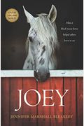 Joey: How A Blind Rescue Horse Helped Others Learn To See