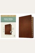 Nlt Personal Size Giant Print Bible, Filament Enabled Edition (Red Letter, Leatherlike, Rustic Brown)
