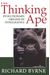 The Thinking Ape: The Evolutionary Origins of Intelligence