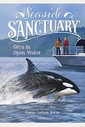 Orca In Open Water