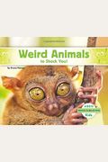 Weird Animals To Shock You!