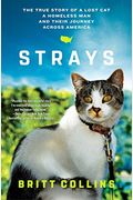 Strays: The True Story Of A Lost Cat, A Homeless Man, And Their Journey Across America