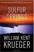 Sulfur Springs: A Novelvolume 16
