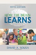 How The Brain Learns