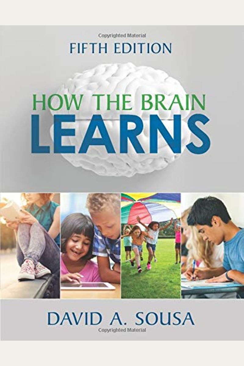 How The Brain Learns
