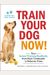 Train Your Dog Now!: Your Instant Training Handbook, From Basic Commands To Behavior Fixes