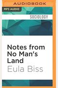 Notes From No Man's Land: American Essays