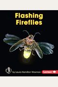 Flashing Fireflies (First Step Nonfiction: Backyard Critters)