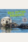 Sea Otter Heroes: The Predators That Saved An Ecosystem