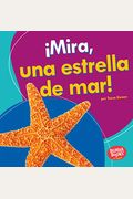 Mira, Una Estrella De Mar!/ Look, A Starfish! (Bumba Booksen EspaÃ±ol - Veo Animales Marinos/ I See Ocean Animals) (Spanish Edition)