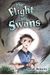The Flight Of Swans