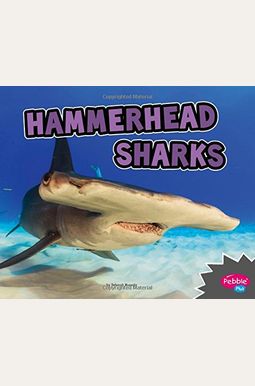 Hammerhead Sharks Hammerhead Sharks