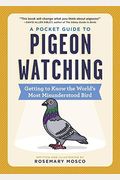 A Pocket Guide To Pigeon Watching: Getting To Know The World's Most Misunderstood Bird