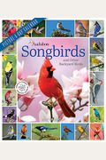 Audubon Songbirds and Other Backyard Birds Picture-A-Day Wall Calendar 2022: Your Daily Sighting of Songsters That Bring Color, Joy, and Sweet Melodie