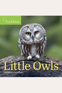 Audubon Little Owls Mini Wall Calendar 2022 Audubon Little Owls Mini Wall Calendar 2022
