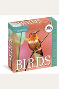 Audubon Birds Page-A-Day Calendar 2022