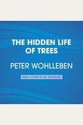 The Hidden Life of Trees: What They Feel, How They Communicate--Discoveries from a Secret World
