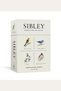 Sibley Birds Of Land, Sea, And Sky: 50 Postcards