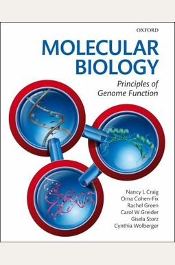 Buy Molecular Biology: Principles Of Genome Function Book By: Nancy L Craig