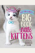 Kitten Lady's Big Book of Little Kittens