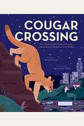 Cougar Crossing: How Hollywood's Celebrity Cougar Helped Build A Bridge For City Wildlife