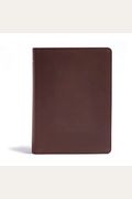 Csb He Reads Truth Bible, Brown Genuine Leather Indexed: Black Letter, Wide Margins, Notetaking Space, Reading Plans, Sewn Binding, Two Ribbon Markers