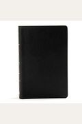 Pew Bible-Kjv