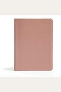 CSB She Reads Truth Bible, Rose Gold Leathertouch