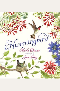 Hummingbird Hummingbird
