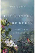 The Glitter In The Green: In Search Of Hummingbirds