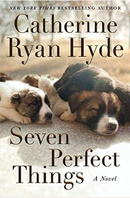Seven Perfect Things Seven Perfect Things