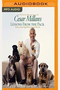 Cesar Millan's Lessons From The Pack: Stories Of The Dogs Who Changed My Life