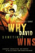 Why David Sometimes Wins: Leadership, Organization, And Strategy In The California Farm Worker Movement