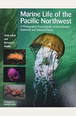 Marine Life Of The Pacific Northwest: A Photographic Encyclopedia Of Invertebrates, Seaweeds And Selected Fishes