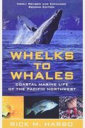Whelks To Whales: Coastal Marine Life Of The Pacific Northwest