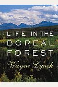 Life In The Boreal Forest