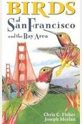 Birds Of San Francisco And The Bay Area (City