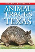 Animal Tracks Of Texas
