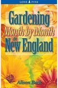 Gardening Month By Month In New England