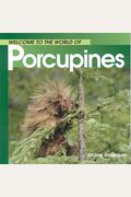 Welcome To The World Of Porcupines